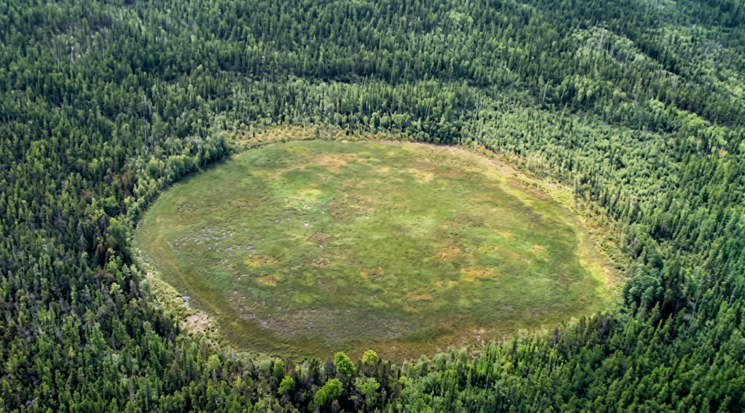 The Tunguska Explosion: One of the Largest Blasts in Recorded History Left Nothing Behind